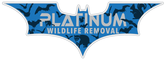 Evictors Wildlife Control LLC